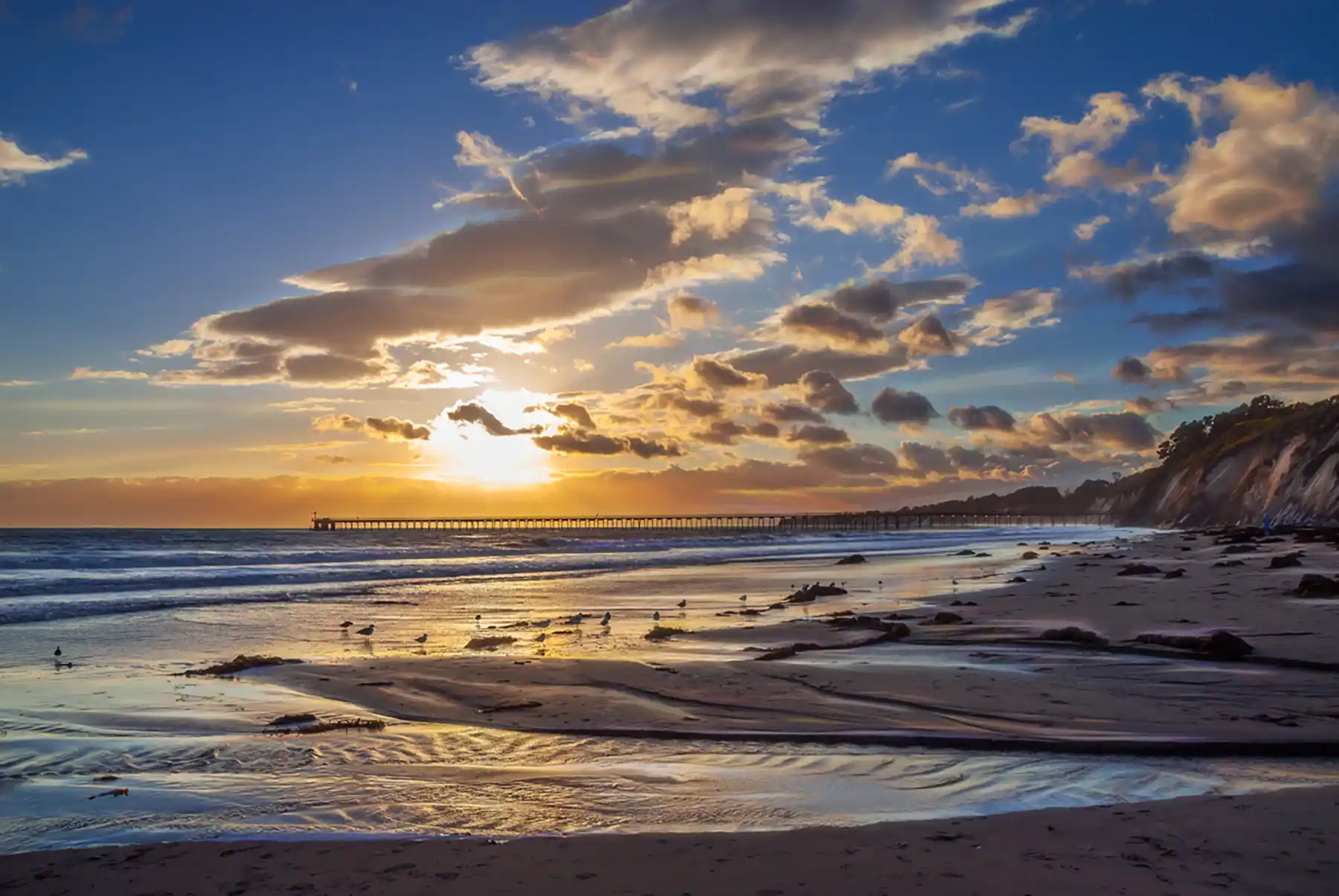 51 Goleta Beach